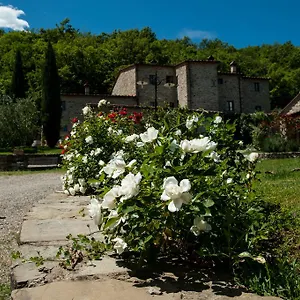 Azienda Agricola Il Pozzo , Capolona Włochy